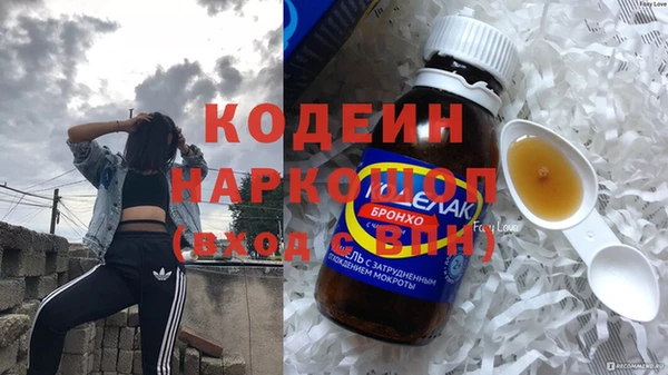 ГАЛЛЮЦИНОГЕННЫЕ ГРИБЫ Рославль