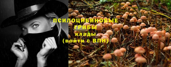 винт Алексин