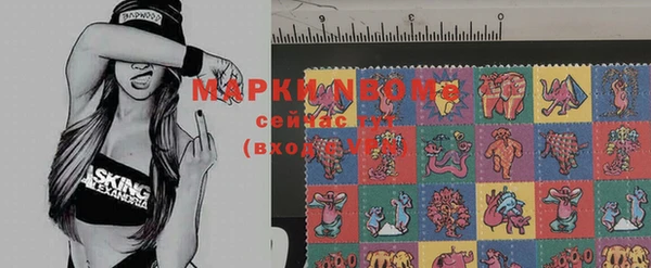 ПСИЛОЦИБИНОВЫЕ ГРИБЫ Алексеевка