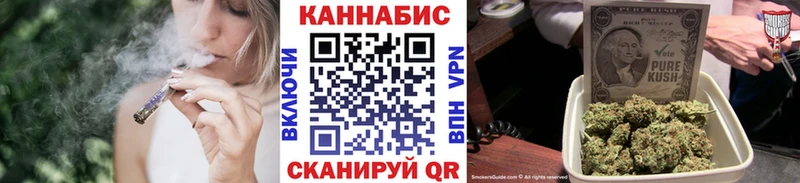 дарнет шоп  Калининск  мега маркетплейс  Шишки марихуана сатива 